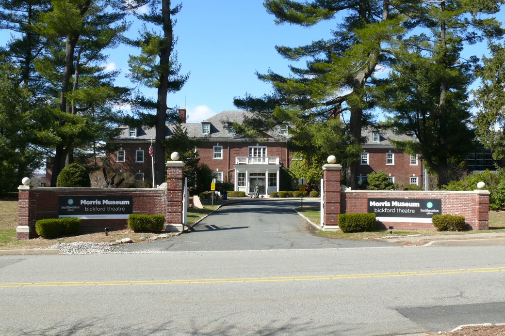 The Morris Museum's exterior is a large, stately, brick building with a prominent, classical-style entrance. It has a central, red brick structure with white columns and a large, welcoming facade