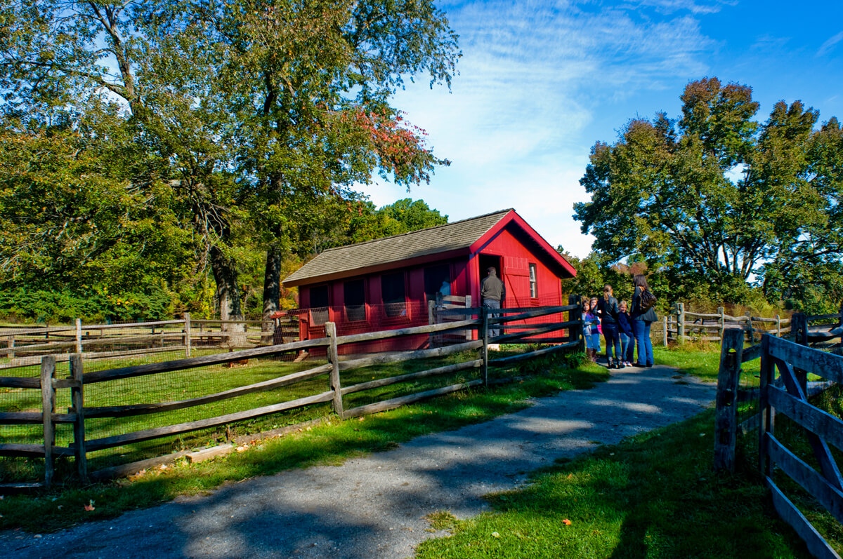 Fosterfields red barn next to fence and a driveway