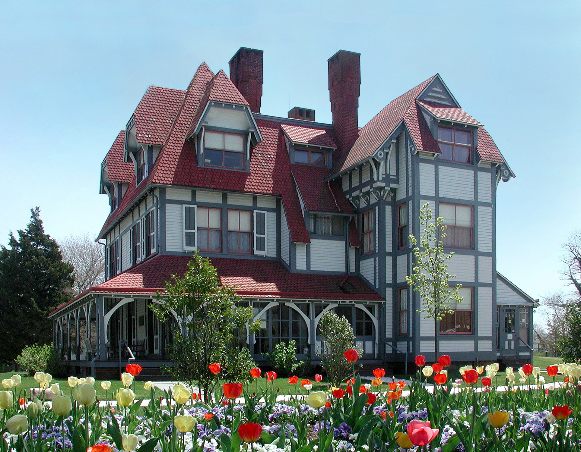 A charming old victorian house amongst daffodils 