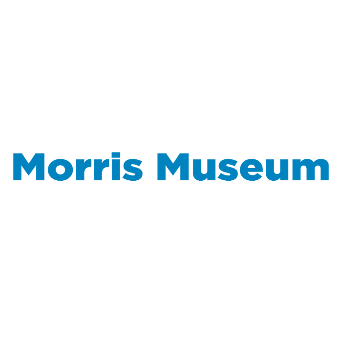 Morris Museum
